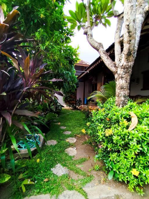 Niki Mawon Homestay Kejayan Экстерьер фото